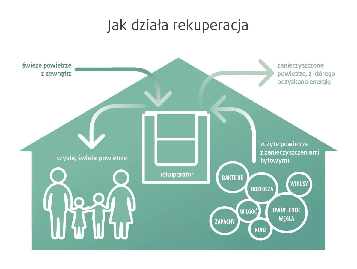 Rekuperacja w Nisku: Kompleksowy Przegląd Usług i Korzyści